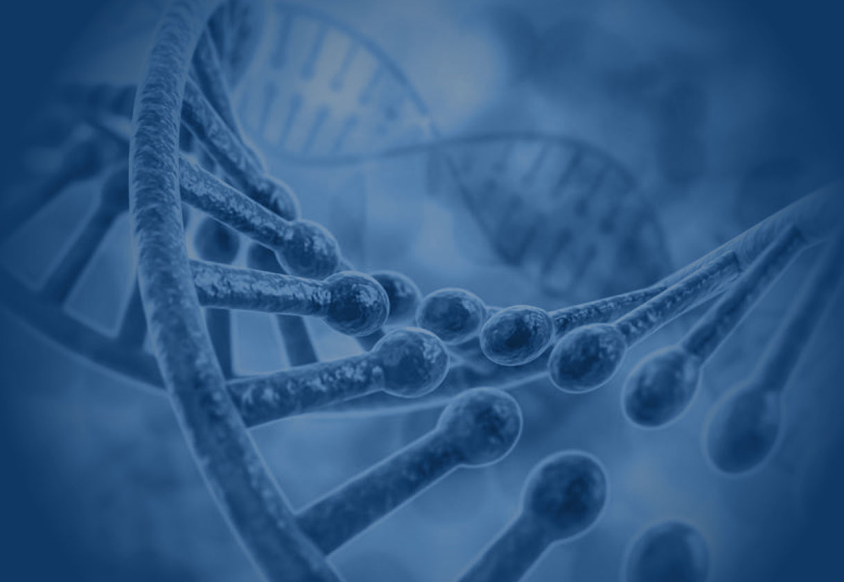 NTRK Gene Fusions: Novel Targets for Tumor-Agnostic Cancer Therapy NTRK Gene Fusions: Novel Targets for Tumor-Agnostic Cancer Therapy