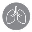 lungs